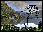 Góry, Jezioro, Drzewo