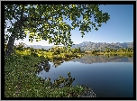 Hiszpania, Jezioro, Zbiornik Embalse de Rosarito, Drzewa, Góry