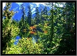 Góry, Jezioro, Las