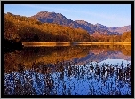 Góry, Jezioro, Las