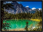 Góry, Jezioro, Las
