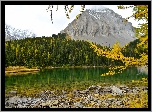 Góry, Jezioro, Las