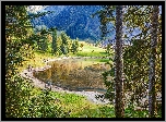 Jezioro, Las, Góry, Drzewa
