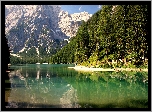 Jezioro, Las, Góry, Lato