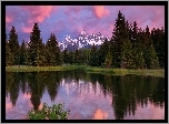 Stany Zjednoczone, Stan Wyoming, Park Narodowy Grand Teton, Rzeka Snake River, Drzewa