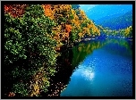 Jezioro, Lasy, Góry, Jesień