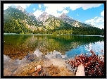 Jezioro, Lasy, Góry, Odbicie