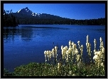 Jezioro, Ro�linno��, G�ry, Oregon