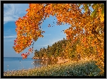 Jesień, Jezioro, Drzewa