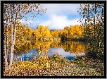 Jezioro, Las, Drzewa, Jesień, Roślinność