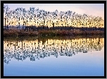 Jesień, Jezioro, Drzewa