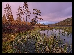 Góry, Jezioro, Jesień, Drzewa, Trawa