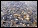 Jezioro, Kamienie