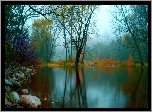 Jezioro, Drzewa, Kamienie, Mgła