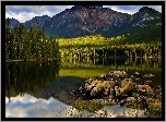 Jezioro, Las, Kamienie, Góry
