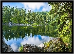 Jezioro, Las, Kamienie, Odbicie
