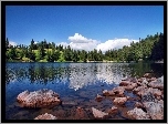 Kamienie, Jezioro, Las