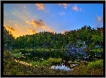 Jezioro, Las