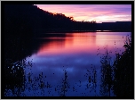 Jezioro, Las