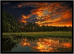 Las, Jezioro, Chmury