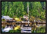 Jezioro, Jacht, Domy, Las, HDR
