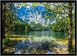 Jezioro, Drzewa, Las, Góry
