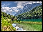 Jezioro, Drzewa, Las, Góry