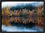 Las, Jezioro, Jesień