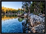 Stany Zjednoczone, Stan Kalifornia, Park Narodowy Yosemite, Las, Jezioro Tenaya, Kamienie