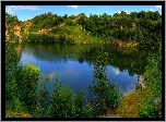 Las, Jezioro, Lato