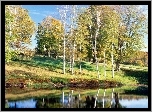 Las, Jezioro, Odbicie