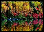 Las, Jezioro, Odbicie