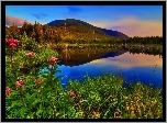 Jezioro, Góry, Lasy, Kwiaty