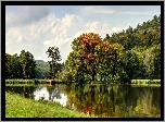 Jezioro, Pomost, Lasy, Jesień