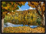 Jezioro, Góry, Lasy, Liście, Jesień