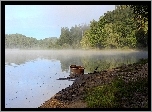 Jezioro, Las, Mgła, Łódka
