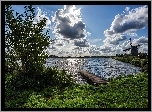 Jezioro, Wiatrak, Molo, Drzewa