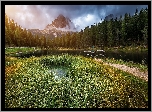 Jezioro Antorno Lake, Góry Dolomity, Masyw Tre Cime di Lavaredo, Prowincja Belluno, Włochy, Trawy, Mostek, Drzewa