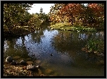 Jezioro, Park, Nakajima, Japonia