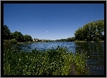 Jezioro, Trzciny, Niebo, Olsztyn
