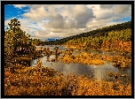 Jesień, Jezioro, Drzewa, Lasy, Park Narodowy Hardangervidda, Norwegia