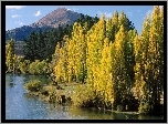Jezioro, Drzewa, Góry, Wanaka, Nowa Zelandia