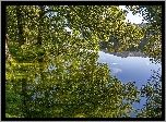 Jezioro, Drzewa, Odbicie, Łódki