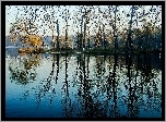 Jezioro, Lasy, Kaczki, Odbicie, Wodne