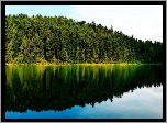 Jezioro, Lustrzane, Odbicie, Drzewa