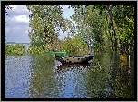 Łódka, Jezioro, Drzewa
