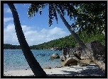 Jezioro, Plaża, Palmy, Głazy