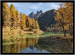 Jezioro Lai da Palpuogna, Góry, Alpy Retyckie, Drzewa, Modrzewie, Jesień, Kanton Gryzonia, Szwajcaria