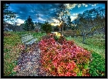 Park, Jezioro, Ławka