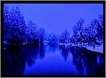 Park, Jezioro, Zima